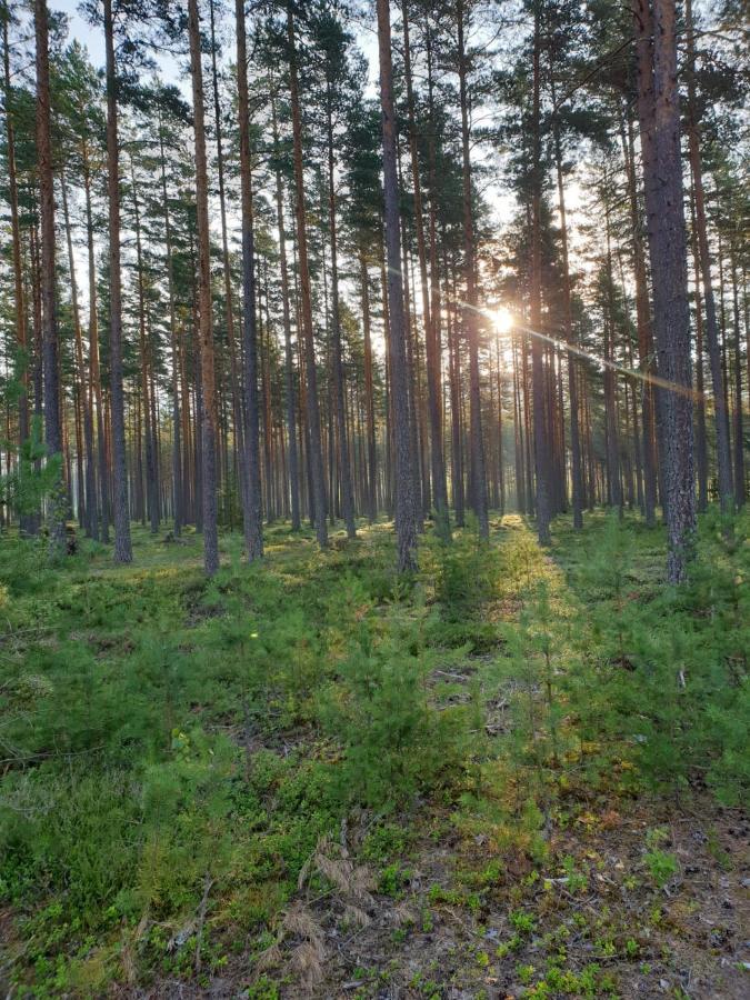 Stuga Ros Naturcamping Lagom Grasmark Exterior photo